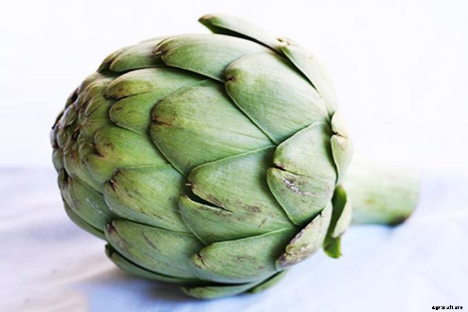 A Quick List of Perennial Vegetables To Add To Your Garden