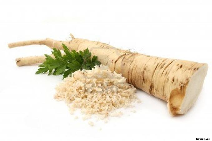 A Quick List of Perennial Vegetables To Add To Your Garden