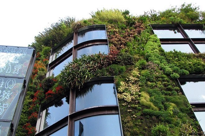 These Amazing Living Walls Make Us Green With Envy
