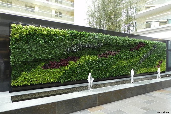 These Amazing Living Walls Make Us Green With Envy