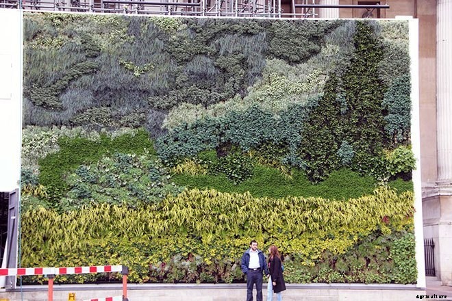 These Amazing Living Walls Make Us Green With Envy