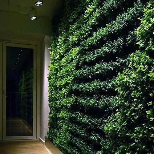These Amazing Living Walls Make Us Green With Envy