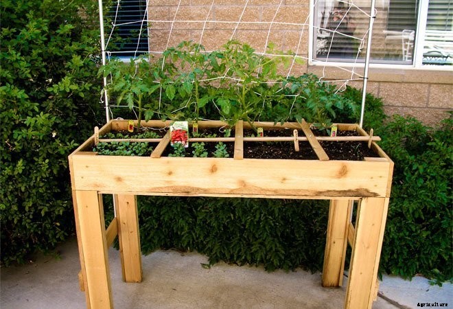 Square Foot Gardens: Where Efficiency Meets Beauty