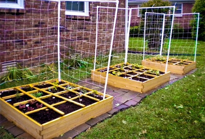 Square Foot Gardens: Where Efficiency Meets Beauty