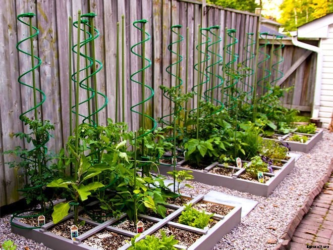 Square Foot Gardens: Where Efficiency Meets Beauty