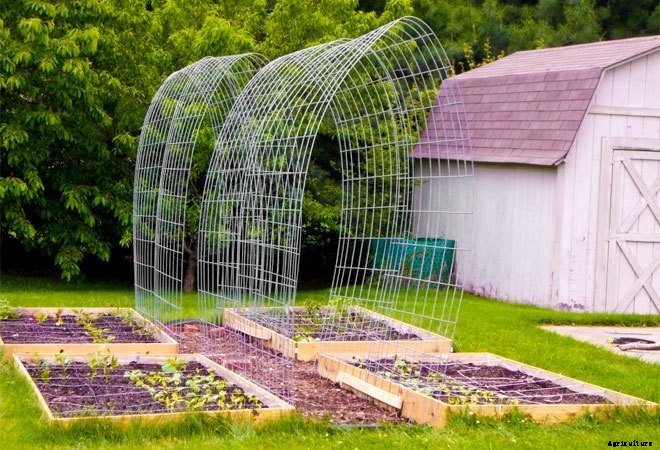 Square Foot Gardens: Where Efficiency Meets Beauty