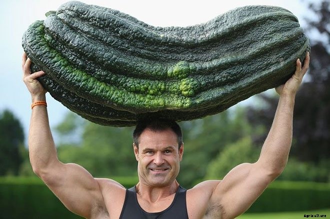 These 11 Pictures of Giant Veggies Will Blow Your Mind