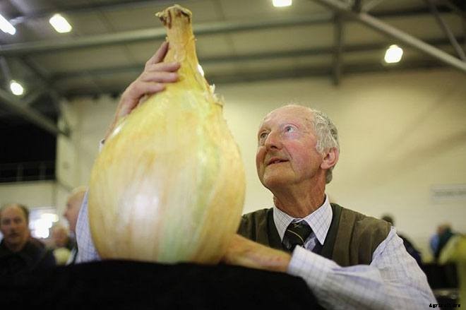 These 11 Pictures of Giant Veggies Will Blow Your Mind