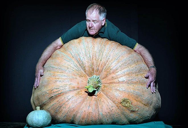 These 11 Pictures of Giant Veggies Will Blow Your Mind
