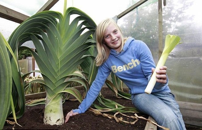 These 11 Pictures of Giant Veggies Will Blow Your Mind