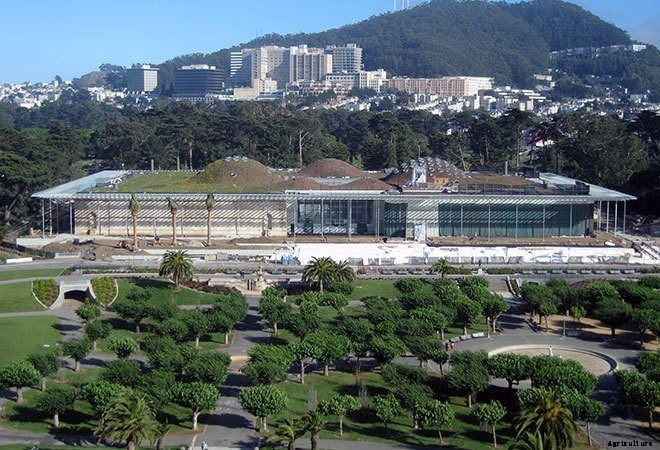 14+ Incredible Green Roof Pictures