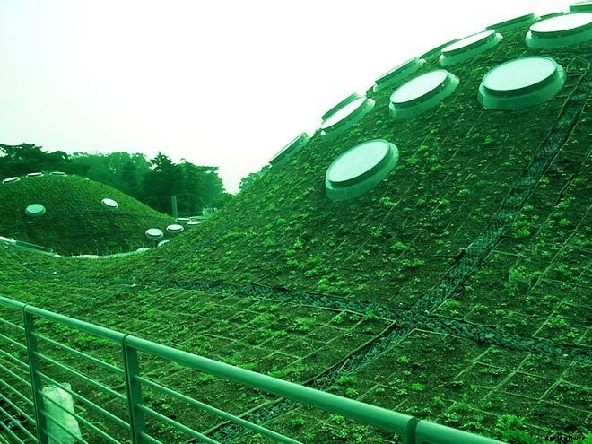 14+ Incredible Green Roof Pictures