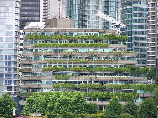 14+ Incredible Green Roof Pictures