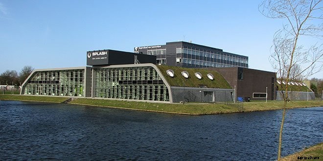 14+ Incredible Green Roof Pictures