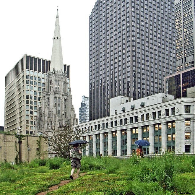 14+ Incredible Green Roof Pictures