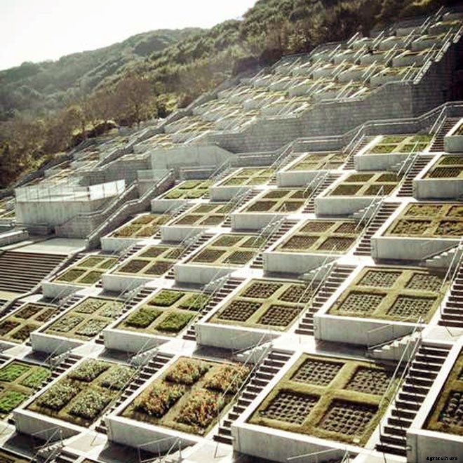 14+ Incredible Green Roof Pictures