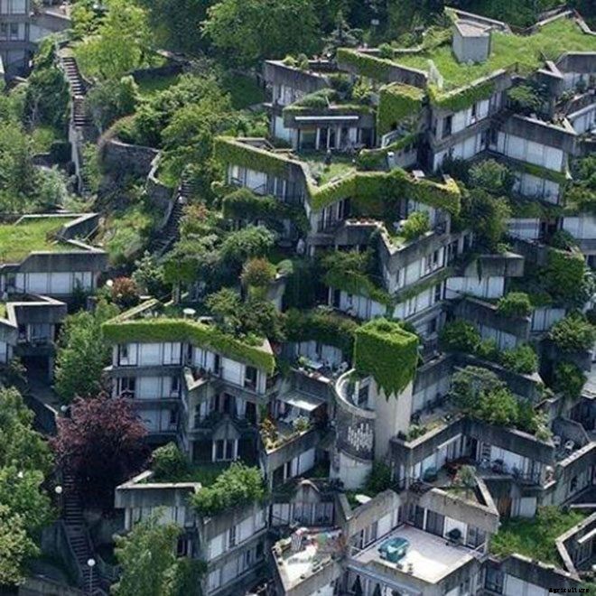 14+ Incredible Green Roof Pictures