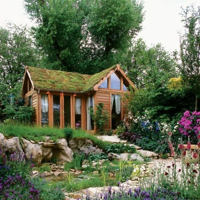 14+ Incredible Green Roof Pictures