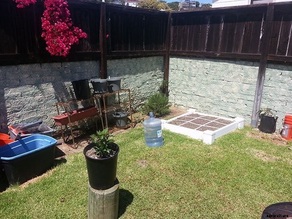 Starting a Summer Garden the Epic Gardening Way