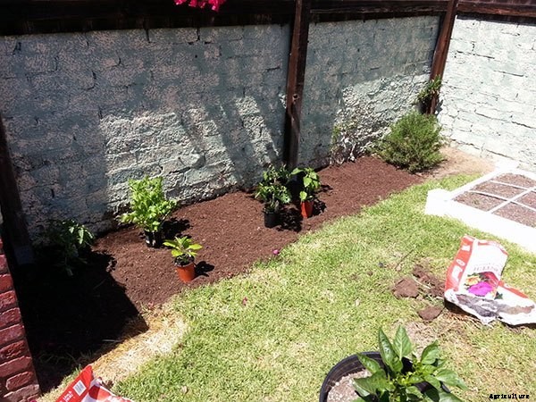 Starting a Summer Garden the Epic Gardening Way