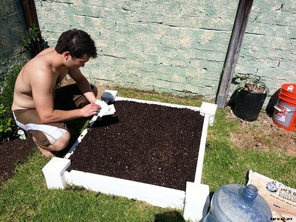 Starting a Summer Garden the Epic Gardening Way