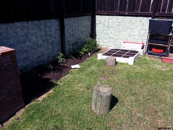 Starting a Summer Garden the Epic Gardening Way