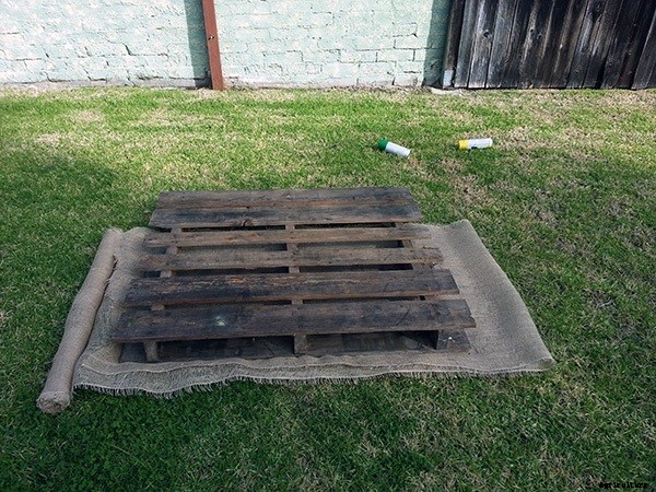 How to Build a DIY Pallet Garden for Thirty Bucks