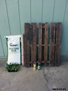 How to Build a DIY Pallet Garden for Thirty Bucks