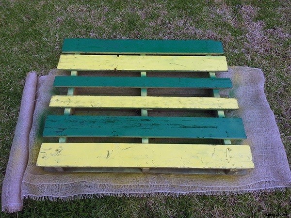 How to Build a DIY Pallet Garden for Thirty Bucks