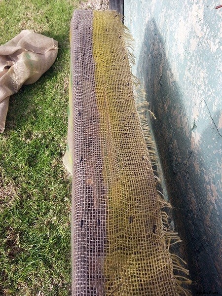 How to Build a DIY Pallet Garden for Thirty Bucks