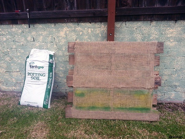 How to Build a DIY Pallet Garden for Thirty Bucks