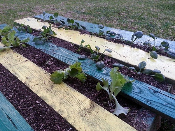 How to Build a DIY Pallet Garden for Thirty Bucks