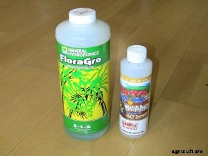 Microgreens Guide: Gathering the Materials