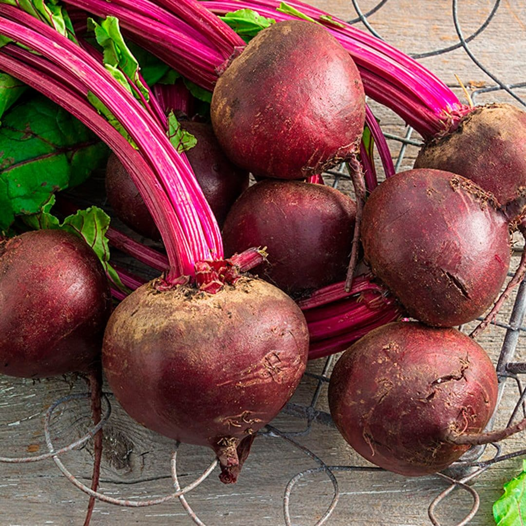 The Best Vegetables That Grow in Shade (and Small Outdoor Spaces)