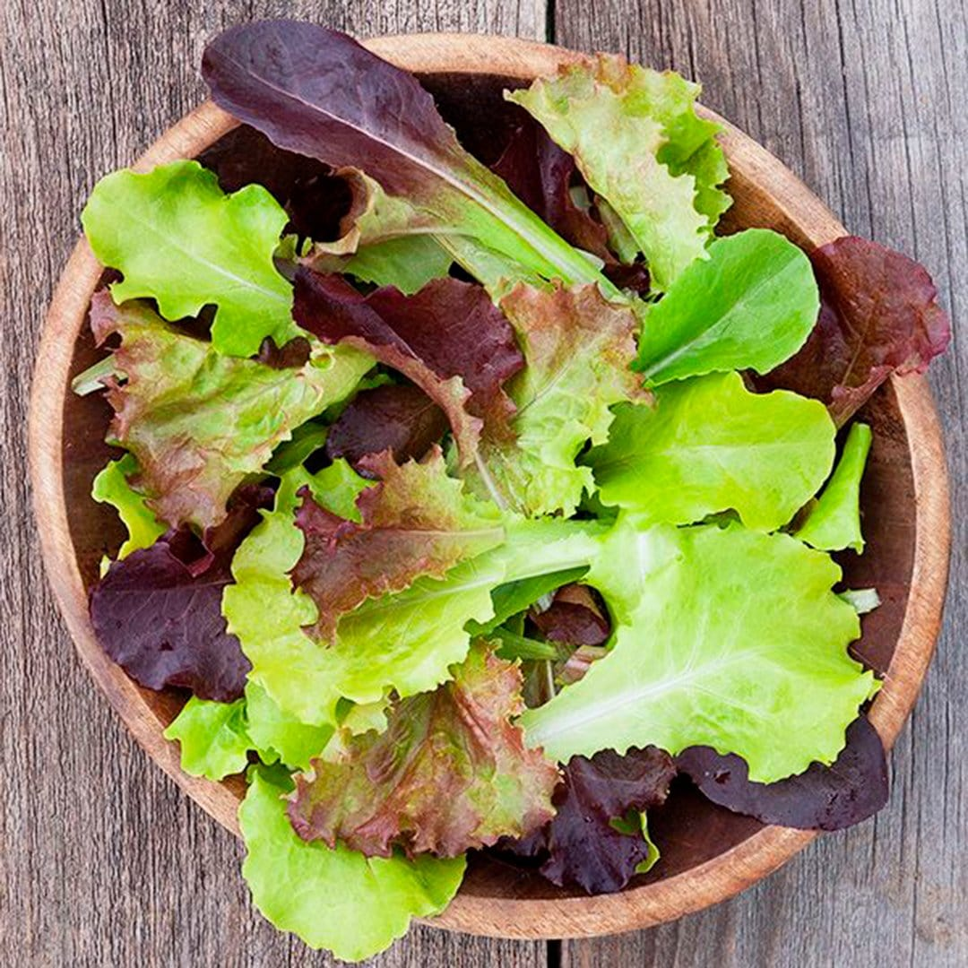 The Best Vegetables That Grow in Shade (and Small Outdoor Spaces)