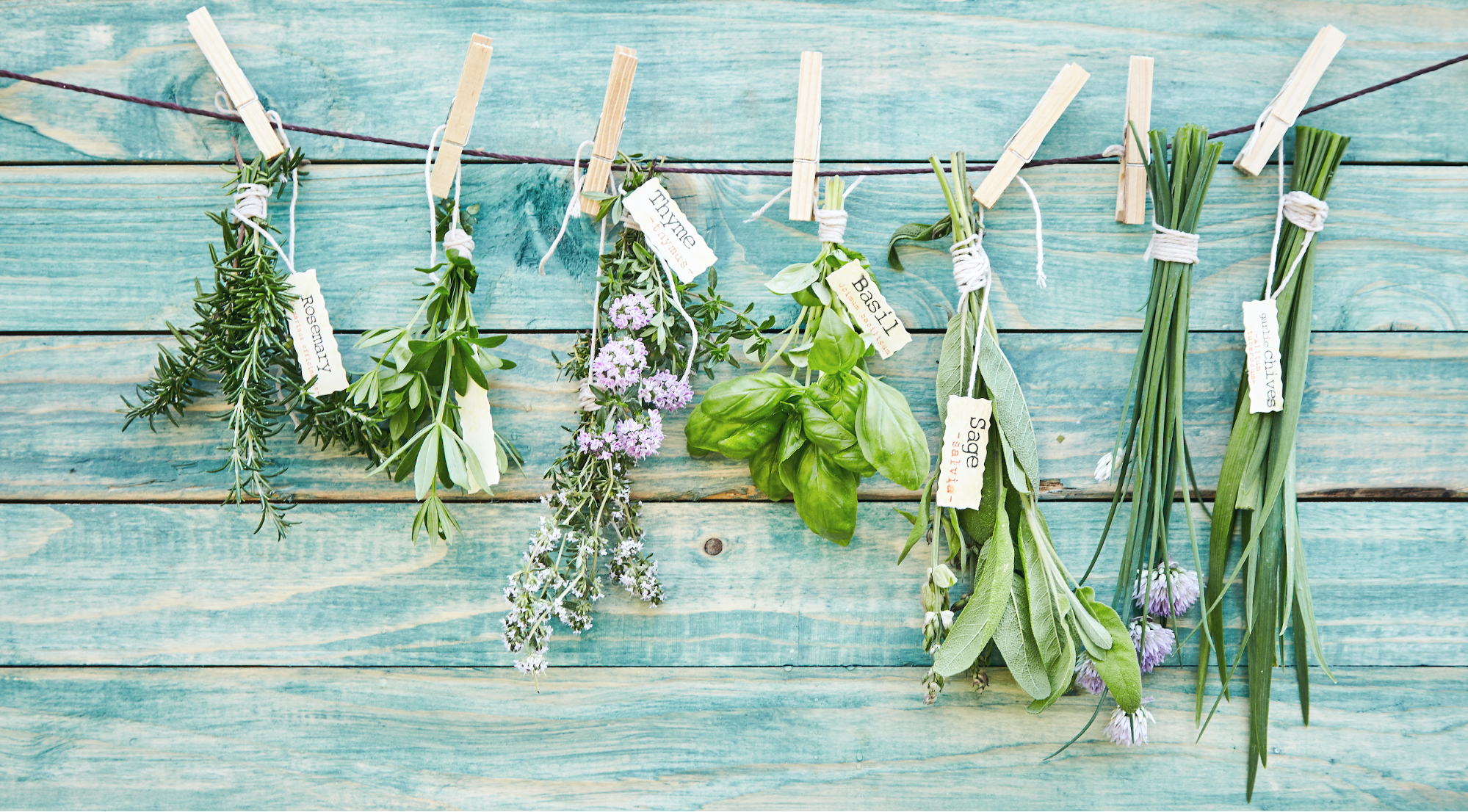 7 Reasons To Grow an Herb Garden This Spring
