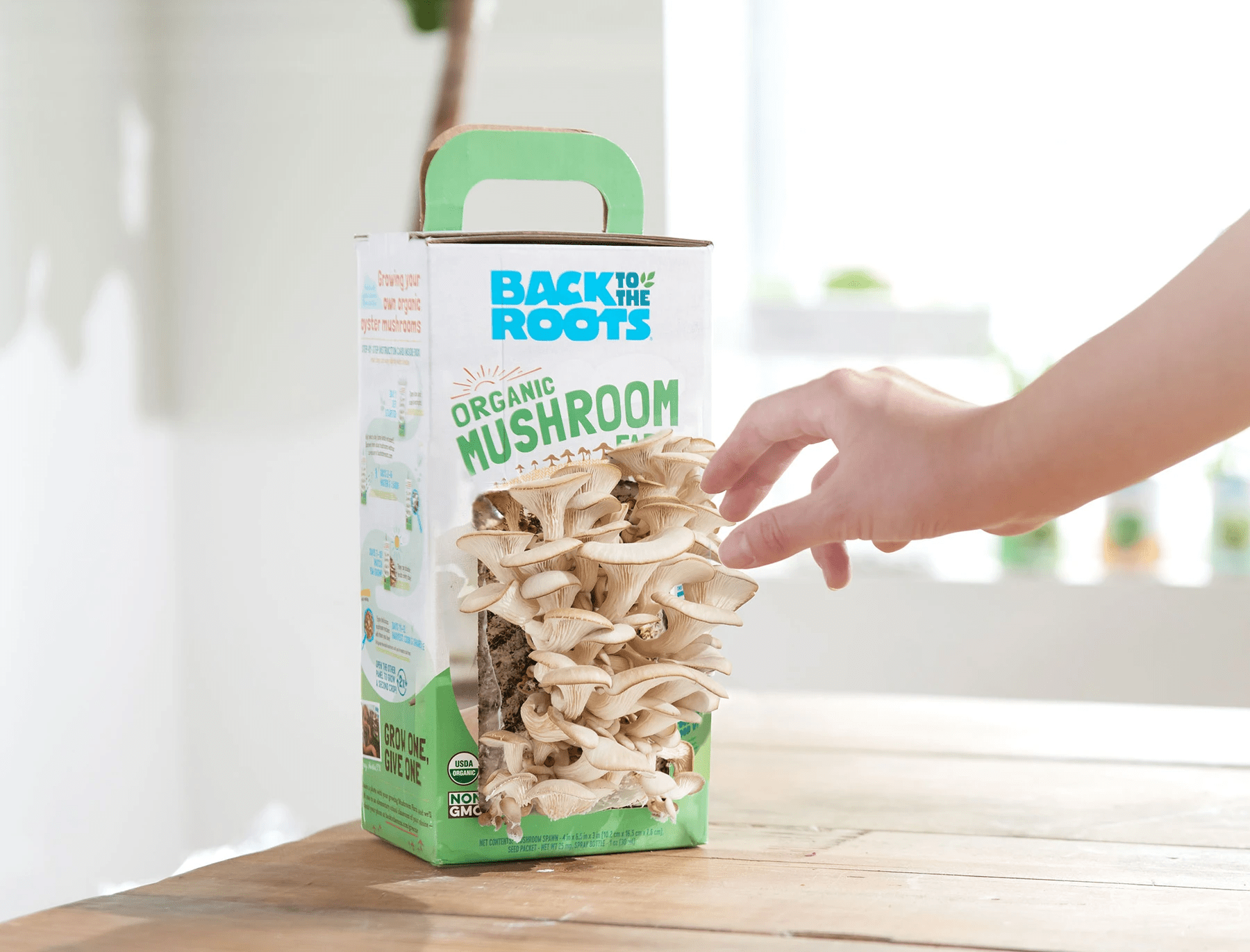 How To Grow Mushrooms at Home: Getting Started With This Tasty Crop