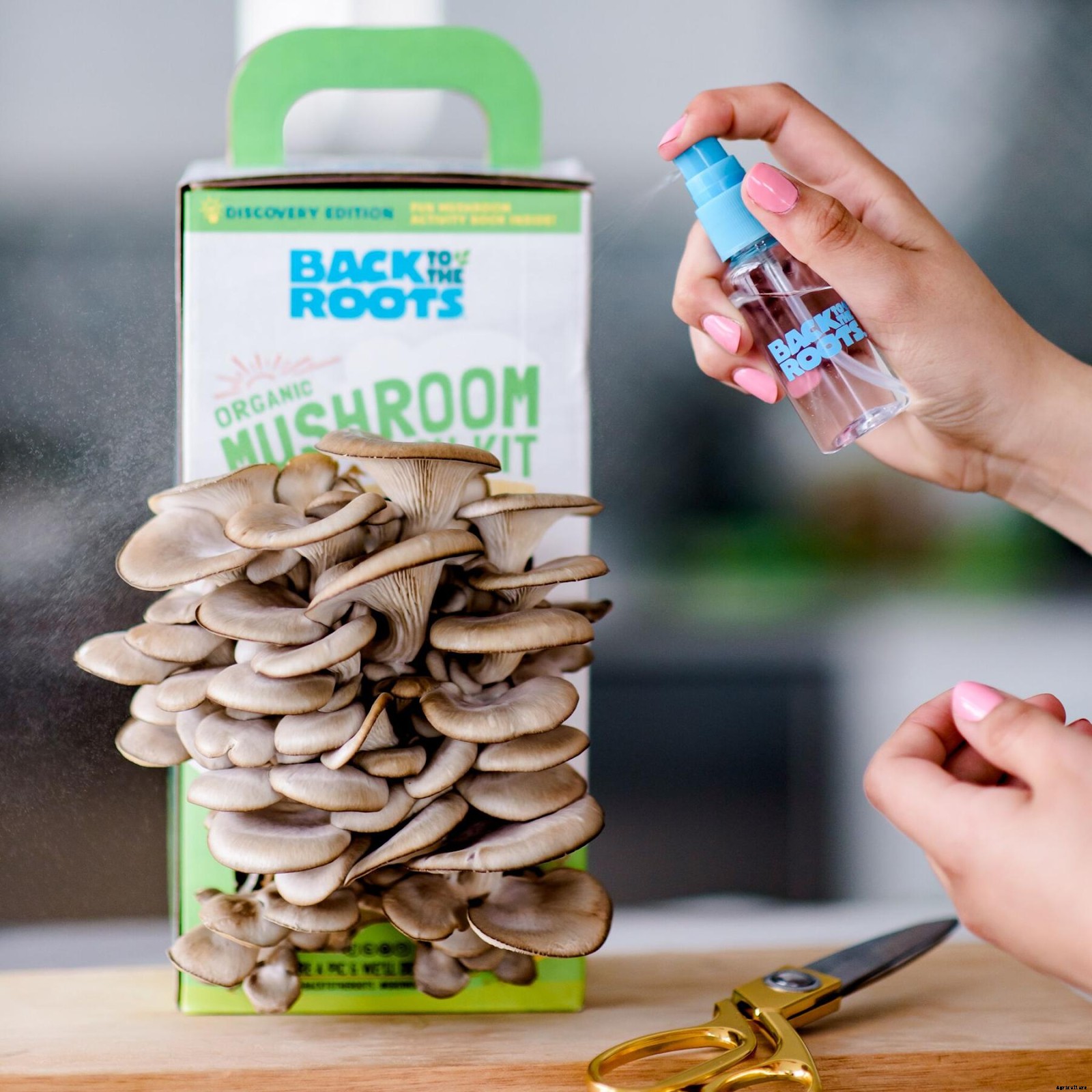 How To Grow Mushrooms at Home: Getting Started With This Tasty Crop