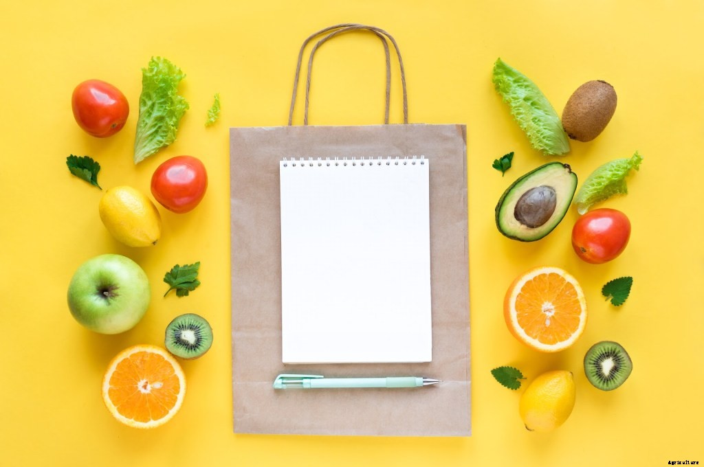 Tips for Designing the Best Vegetable Garden Layout