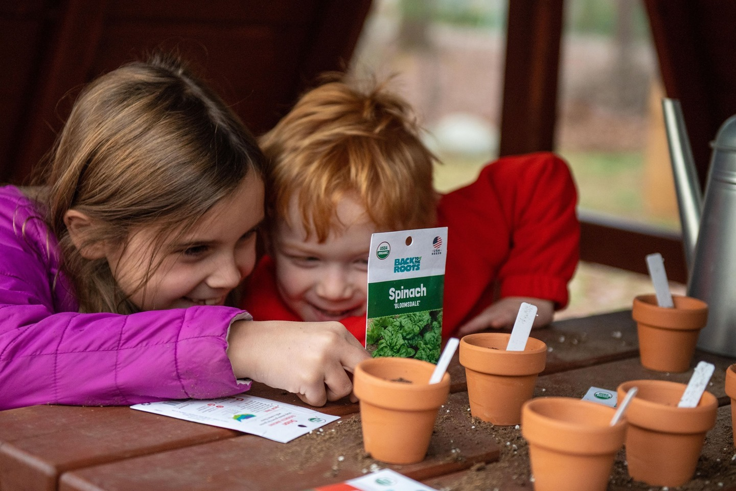 Tips for Designing the Best Vegetable Garden Layout