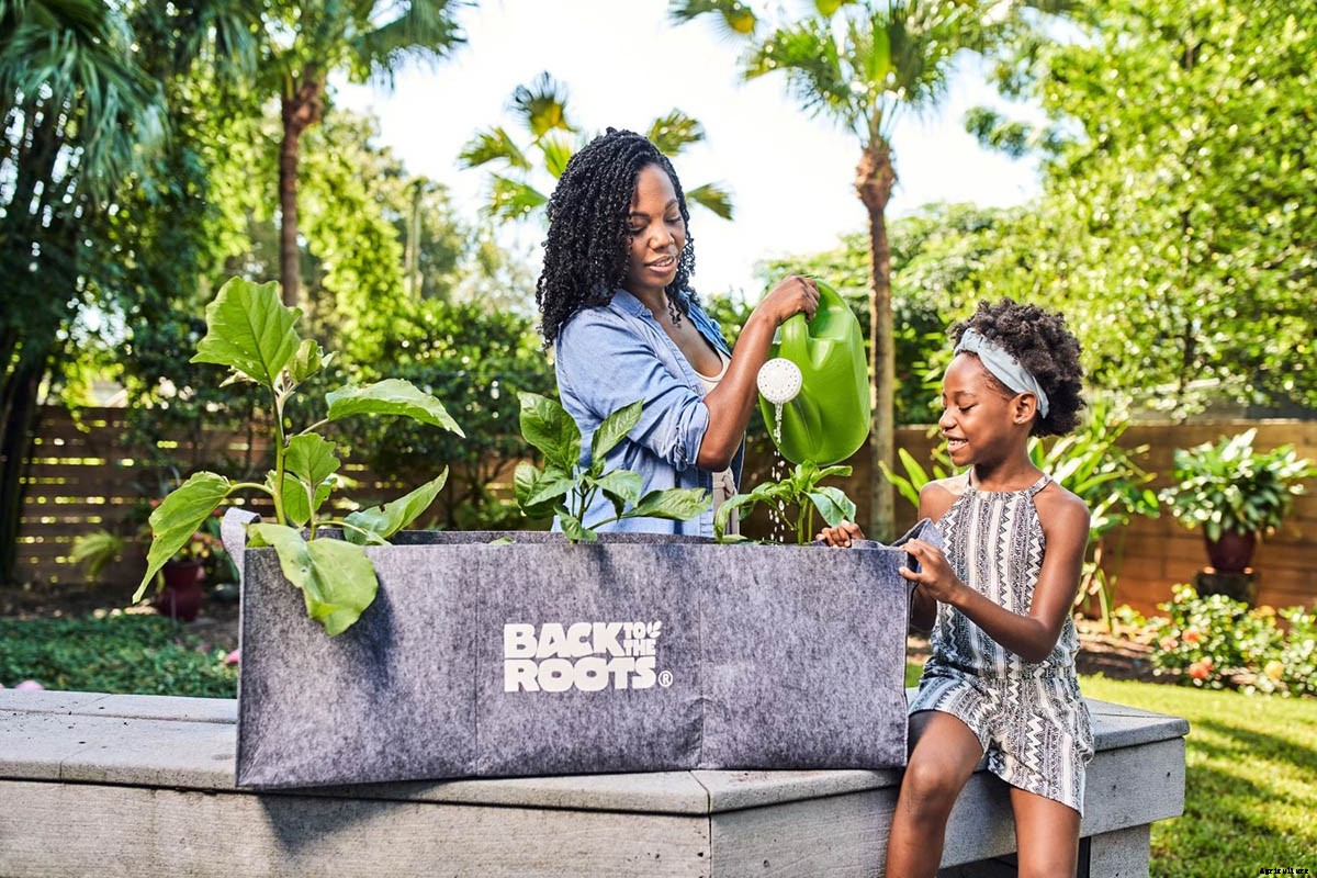 Back to the Roots Raised Garden Bed Kit: Your New Must-Have