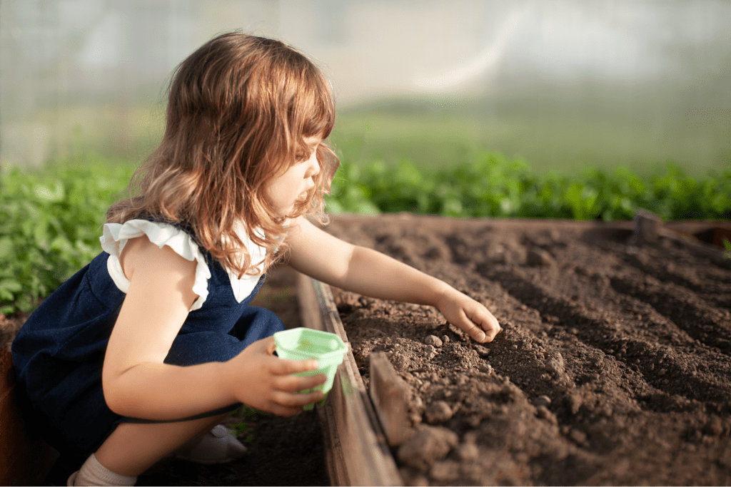 How Far Apart To Plant Cucumbers and Other Helpful Gardening Tips
