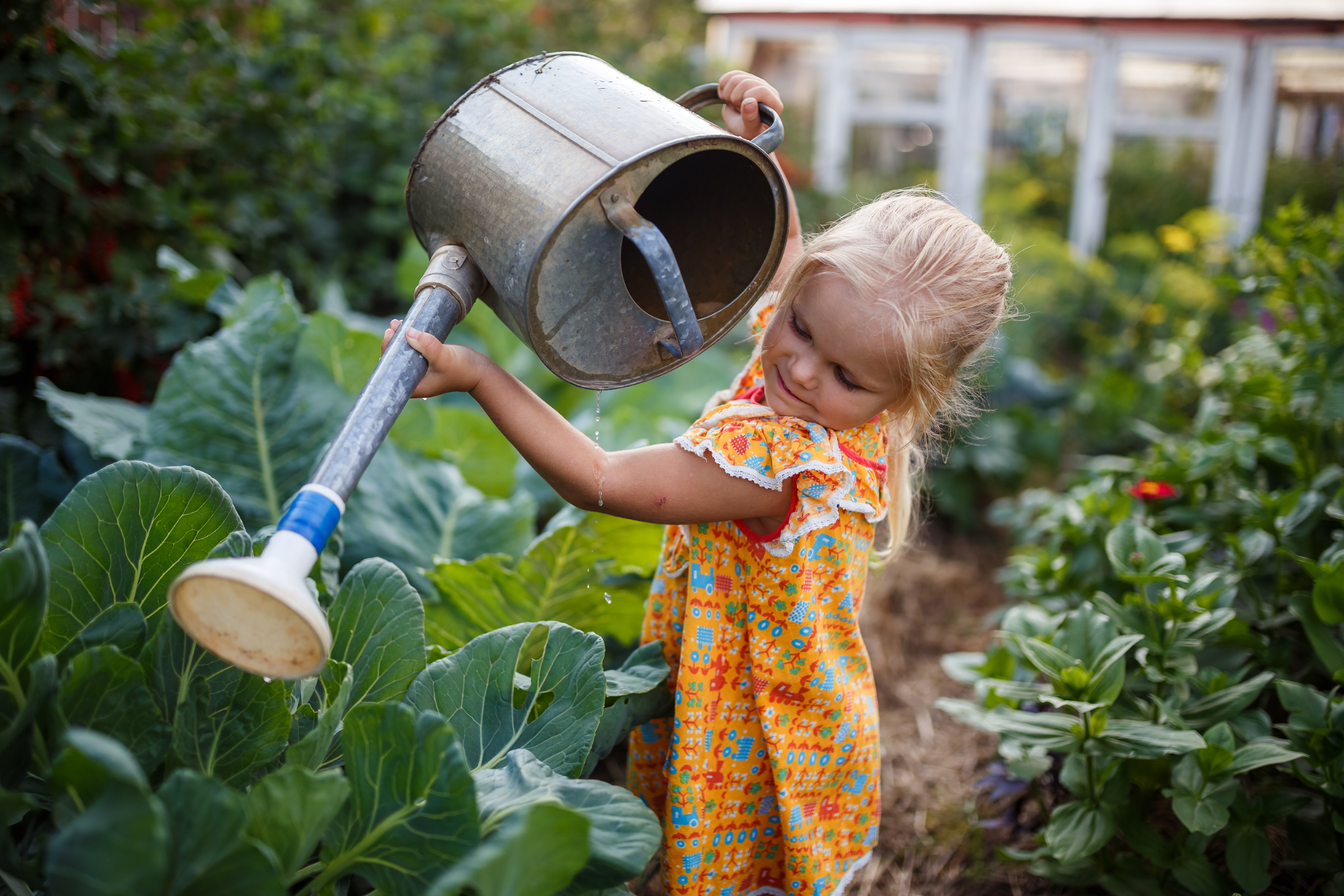 Grow Your Own Food: 10 Reasons to Start a Garden