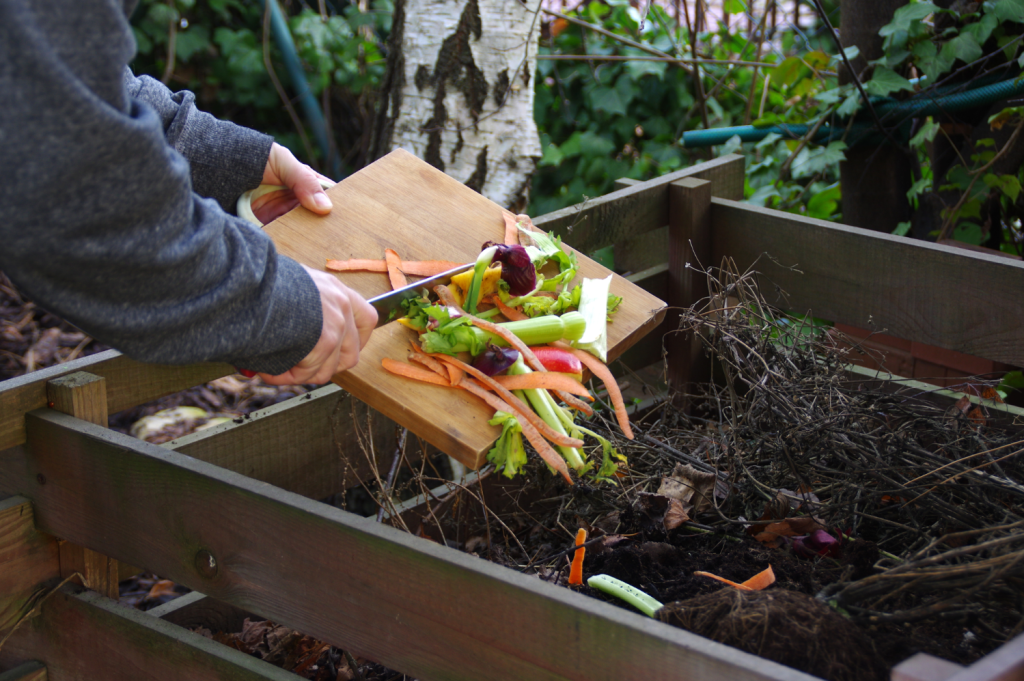 Grow Your Own Food: 10 Reasons to Start a Garden