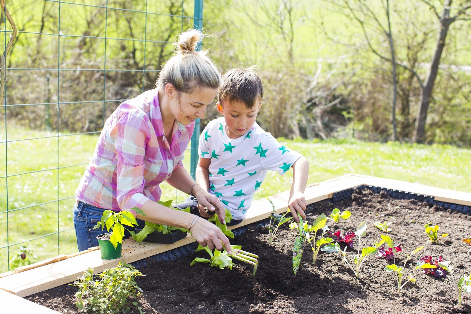 How To Start a Raised Vegetable Garden: Top Tips, Tricks, and Benefits