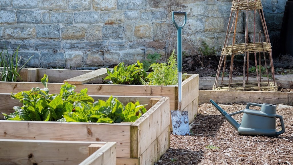How To Start a Raised Vegetable Garden: Top Tips, Tricks, and Benefits