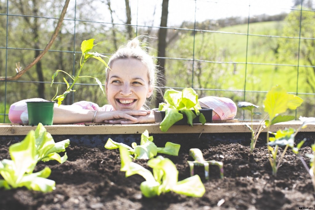 How To Start a Raised Vegetable Garden: Top Tips, Tricks, and Benefits