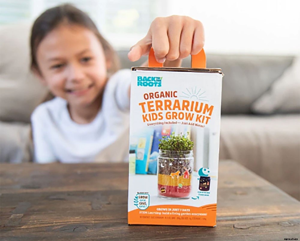 The Best Gifts for Gardeners of Every Level and Lifestyle