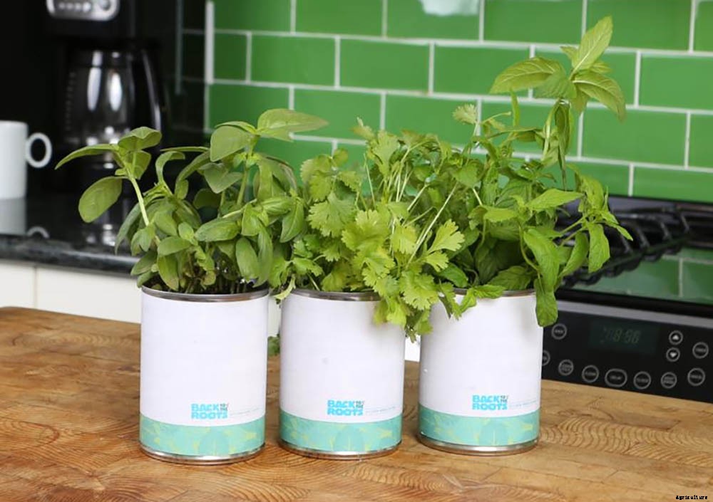 The Best Gifts for Gardeners of Every Level and Lifestyle