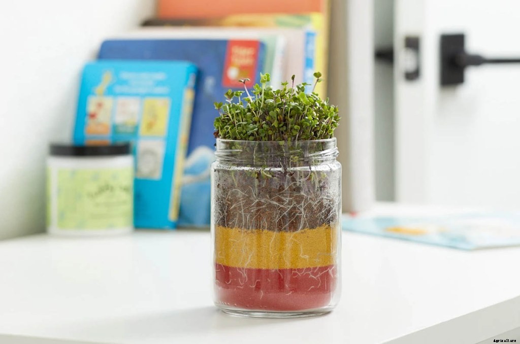 The Best Gifts for Gardeners of Every Level and Lifestyle